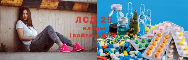 ГАЛЛЮЦИНОГЕННЫЕ ГРИБЫ Гусев