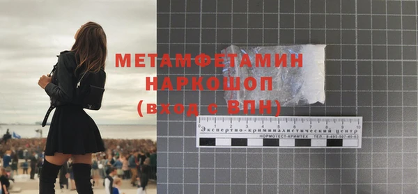 ГАЛЛЮЦИНОГЕННЫЕ ГРИБЫ Гусев