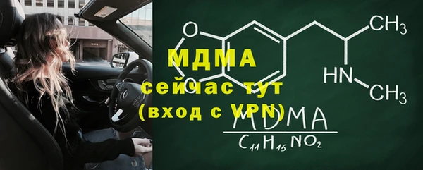 ГАЛЛЮЦИНОГЕННЫЕ ГРИБЫ Гусев