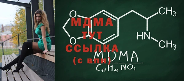 ГАЛЛЮЦИНОГЕННЫЕ ГРИБЫ Гусев