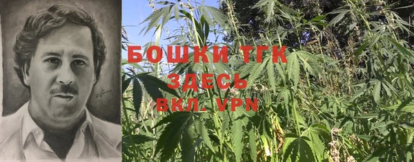 ГАЛЛЮЦИНОГЕННЫЕ ГРИБЫ Гусев