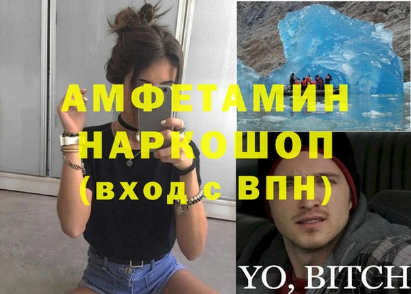 ГАЛЛЮЦИНОГЕННЫЕ ГРИБЫ Гусев