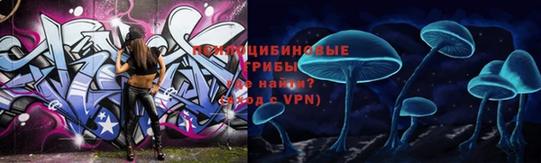 прущая мука Гусь-Хрустальный