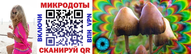 Купить где  Красновишерск  Псилоцибиновые грибы ЛСД 